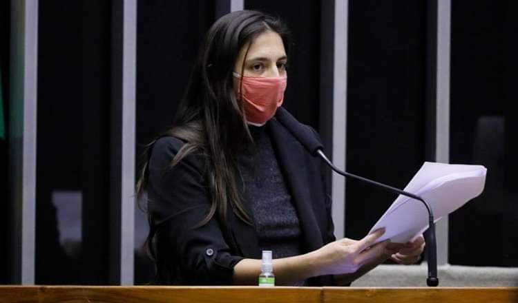 Projeto para enfrentamento da violência doméstica durante pandemia é aprovado na câmara